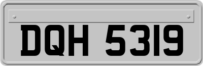 DQH5319