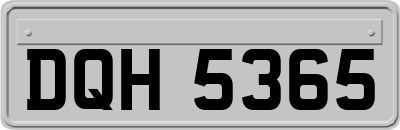 DQH5365