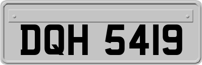 DQH5419