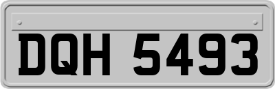 DQH5493