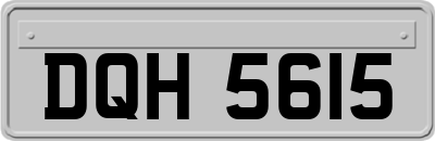 DQH5615