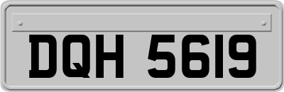 DQH5619
