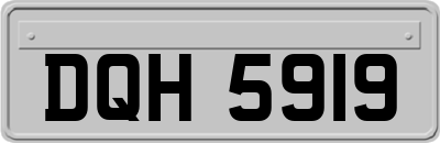 DQH5919