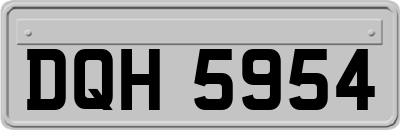 DQH5954