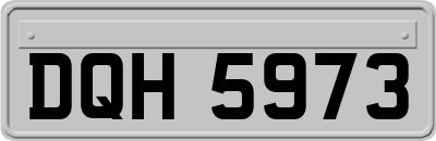 DQH5973