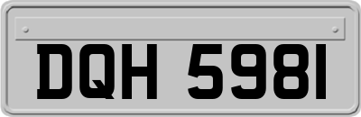 DQH5981