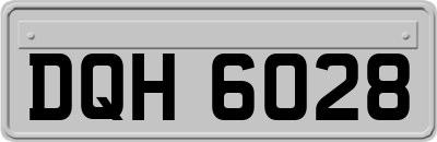 DQH6028