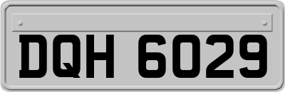 DQH6029