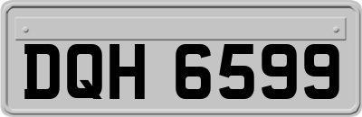 DQH6599