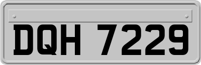 DQH7229