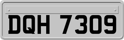 DQH7309