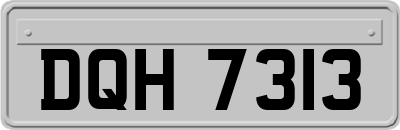 DQH7313