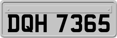 DQH7365