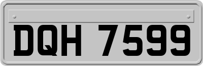 DQH7599