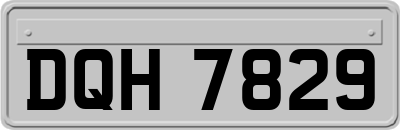 DQH7829