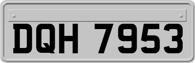 DQH7953