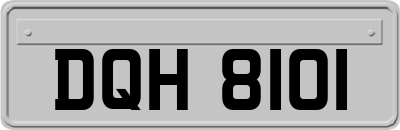 DQH8101