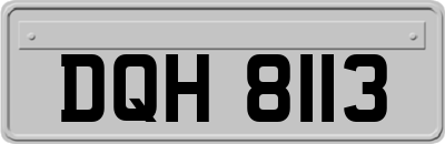 DQH8113