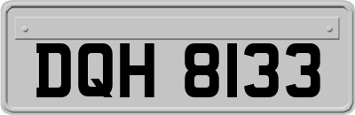 DQH8133