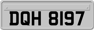 DQH8197