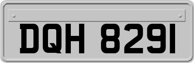 DQH8291