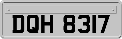 DQH8317