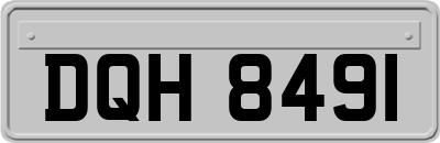 DQH8491