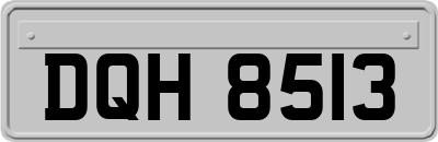 DQH8513