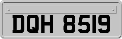 DQH8519