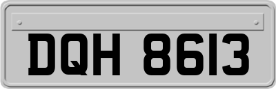 DQH8613