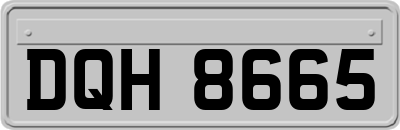 DQH8665
