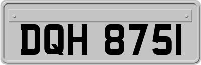 DQH8751