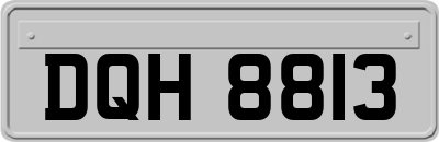 DQH8813