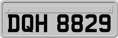 DQH8829