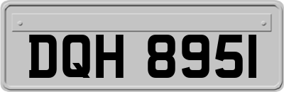 DQH8951