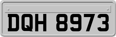 DQH8973