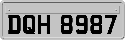 DQH8987