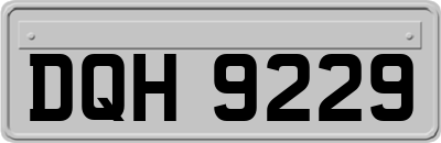 DQH9229