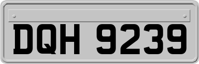 DQH9239