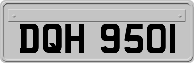 DQH9501