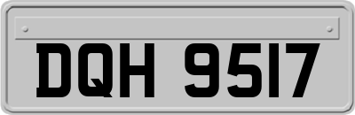 DQH9517