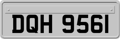 DQH9561