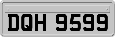 DQH9599