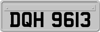 DQH9613