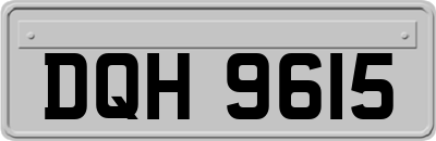 DQH9615