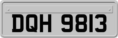 DQH9813