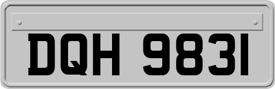 DQH9831