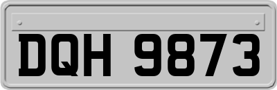 DQH9873
