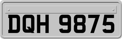 DQH9875