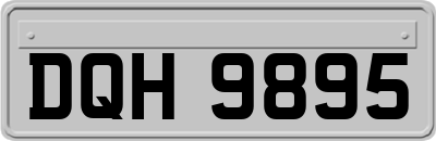 DQH9895